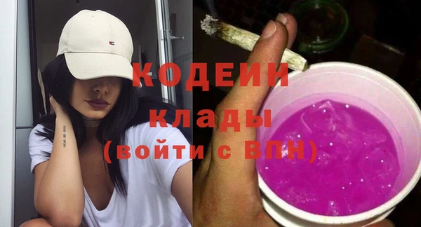 гидра Богородск