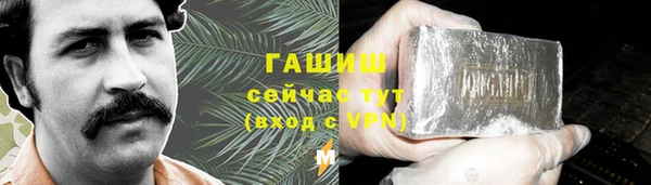 индика Бронницы