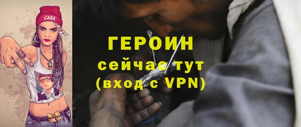 гидра Богородск