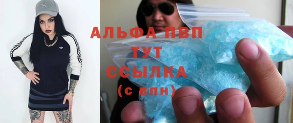 spice Богданович