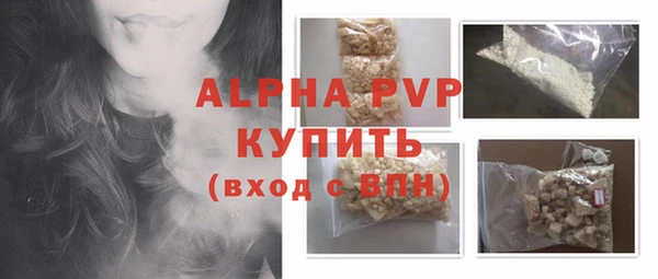 индика Бронницы