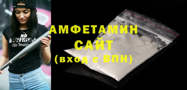 гидра Богородск