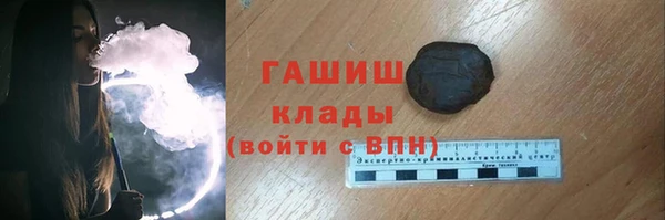 гидра Богородск