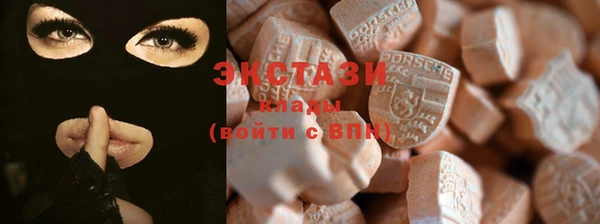 индика Бронницы