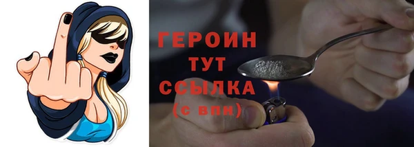 гидра Богородск