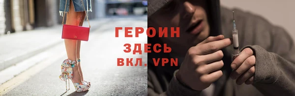 гидра Богородск