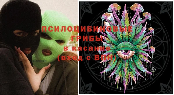 индика Бронницы
