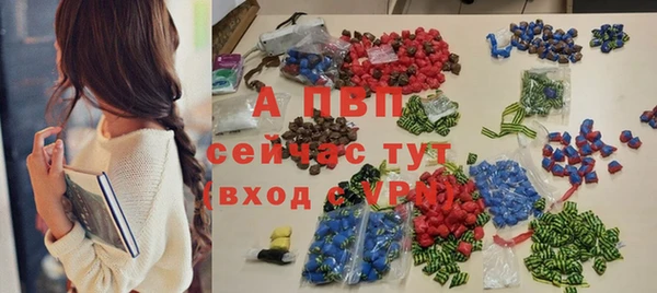 индика Бронницы