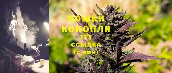 гидра Богородск